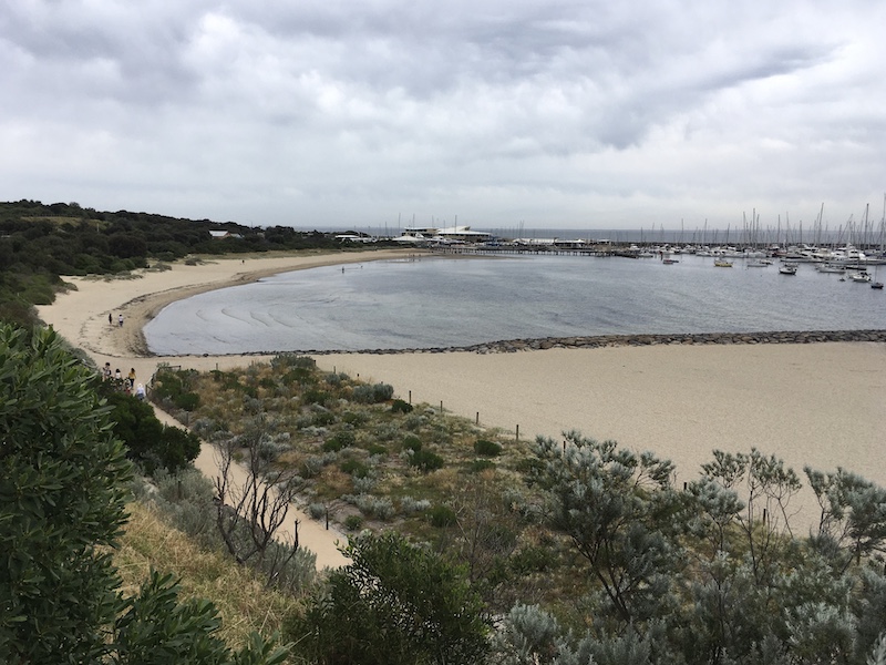 a view of a beach from a clifftop, a marina in the background