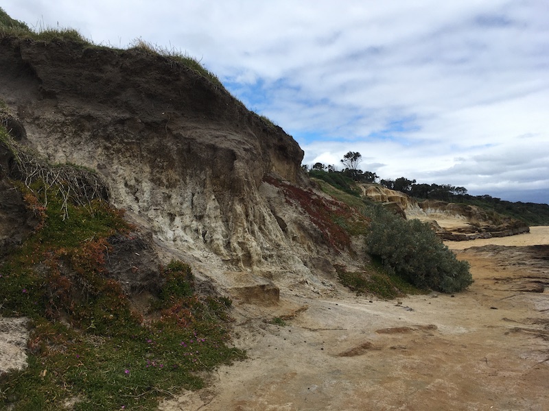 view of a small cliff from below, on the beach