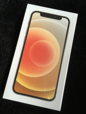 a photo of an iPhone 12 mini box