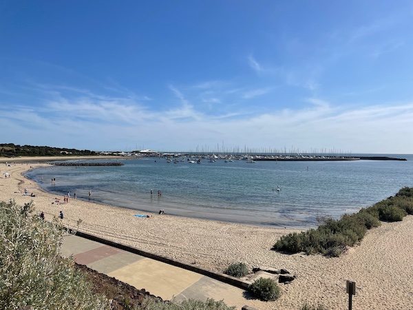 a view of a beach from up high, with many dogs and beachgoers