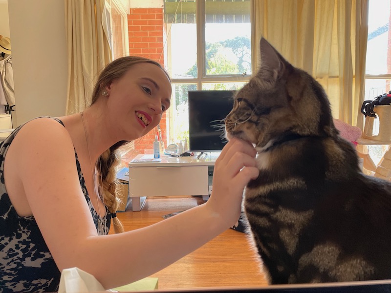the tabby cat accepts chin scratchies from the young woman