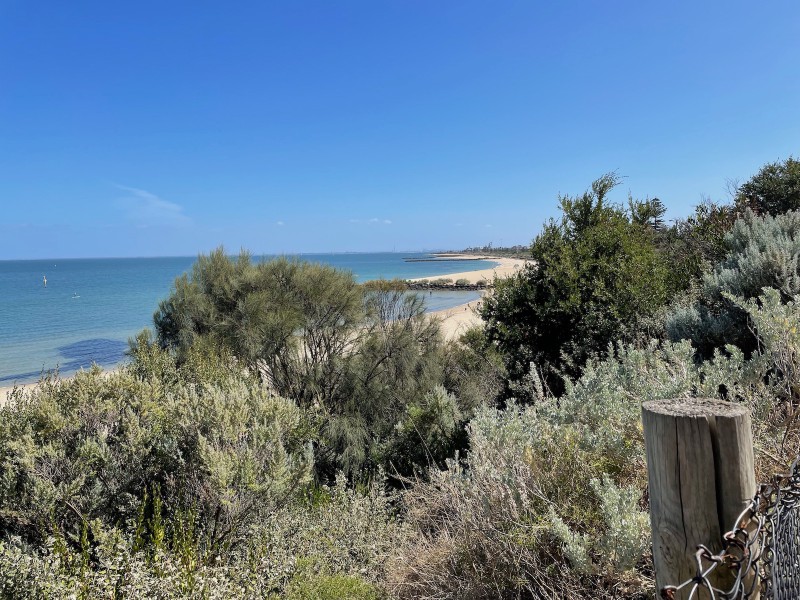a foreground of shrubbery. behind that, sand, blue ocean, and a bright blue sky