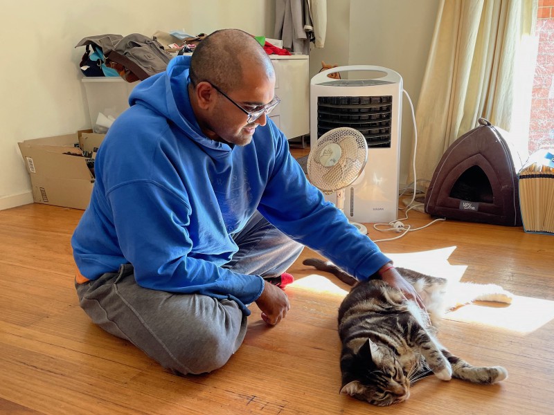 in a sunny living room, an Indian guy in a hoodie and tracksuit pants pats a tabby cat
