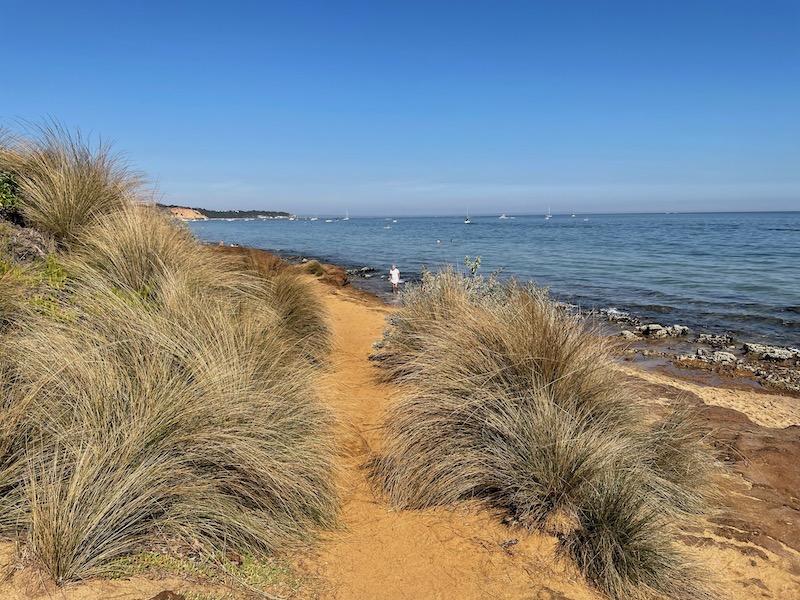 sea with some small boats in the distance, yellow sand and hardy beach shrubs in the foreground