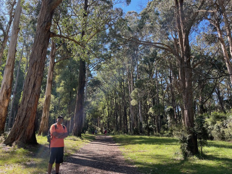 a gravel path leading off into a temperate rainforest. an Indian guy in a brown t-shirt stands at the foot of the path