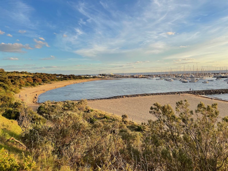photo of a beach taken from a low cliff. the sky is blue with wisps of cloud. to the left and bottom of frame are green shrubs. the beach is in two parts, separated by a stone thing jutting out into the sea; the beach on the left is narrower, yellower, with people and dogs just visible (they're very small); the beach on the right is wider and paler with no one on it. the ocean is pale blue, similar to the average hue of the sky.