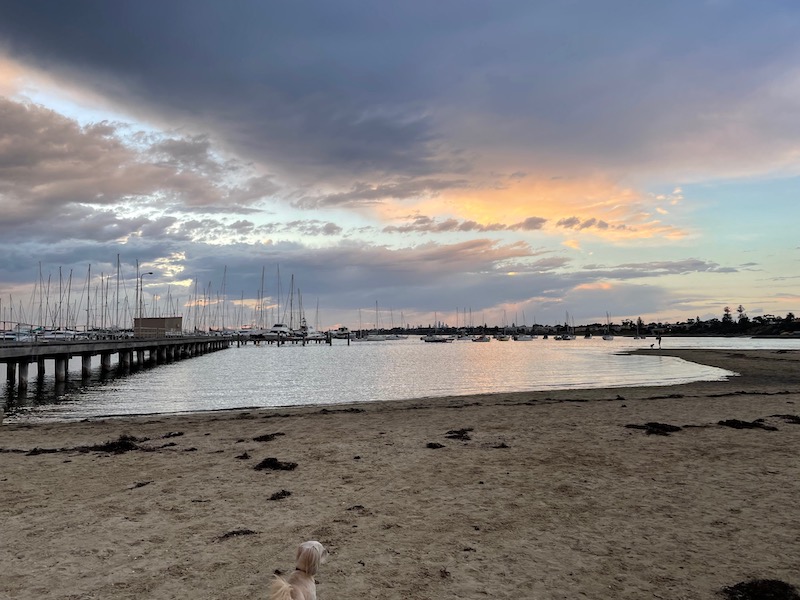 a view on the beach, pier to the left, dog's head just visible at the bottom of frame. a dark grey cloud in the sky, with light blue and pink around it