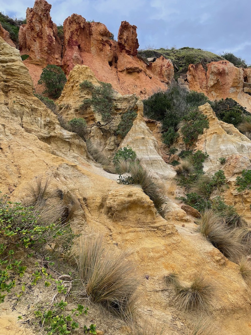 the cliffs front-on, shrubs growing through the crevices