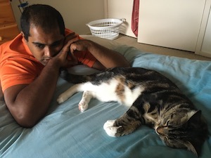 a tabby cat stretches out on a bed; a man kneels on the floor next to her, looking away in thought
